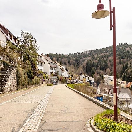Ferienappartement Sonnenhof Triberg im Schwarzwald Екстер'єр фото