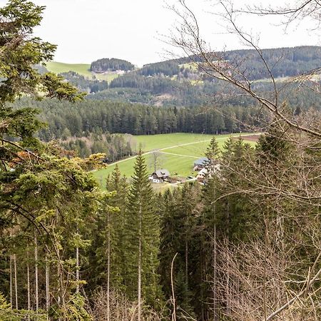 Ferienappartement Sonnenhof Triberg im Schwarzwald Екстер'єр фото