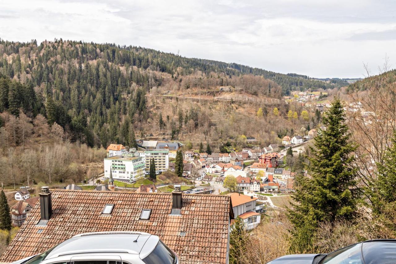Ferienappartement Sonnenhof Triberg im Schwarzwald Екстер'єр фото