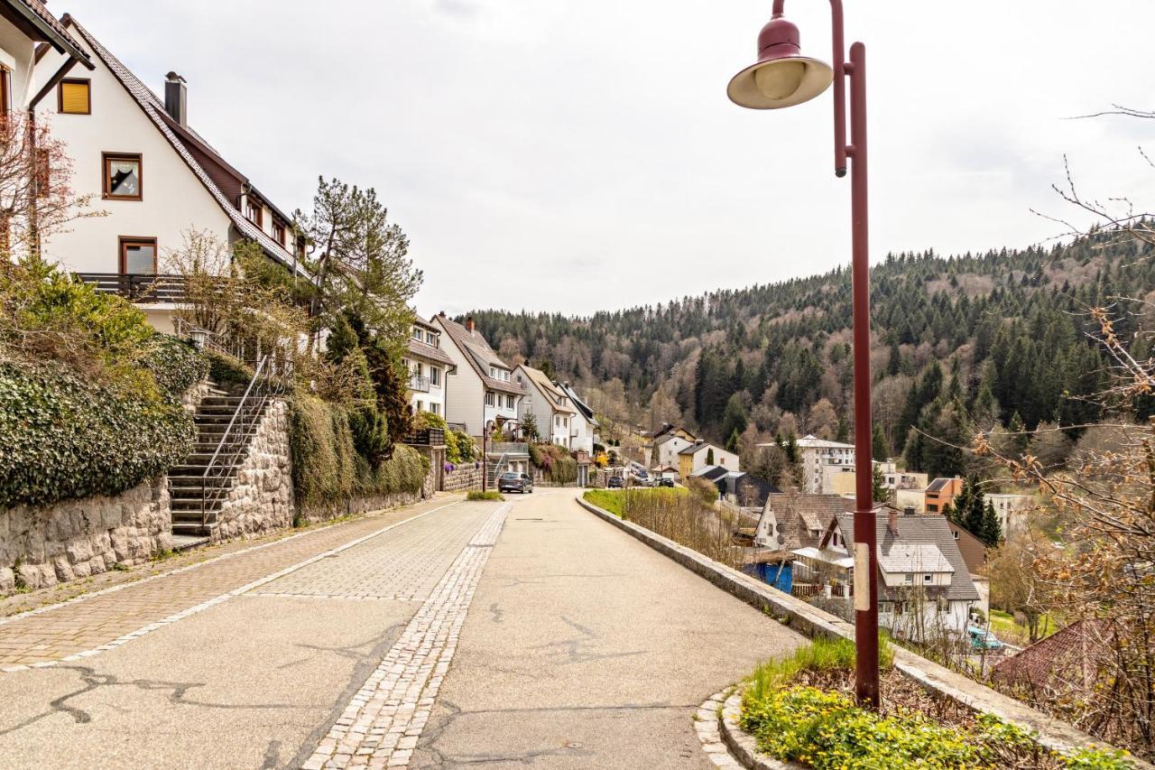 Ferienappartement Sonnenhof Triberg im Schwarzwald Екстер'єр фото