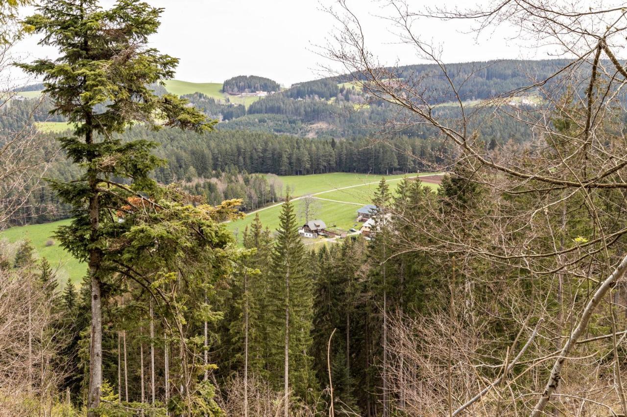 Ferienappartement Sonnenhof Triberg im Schwarzwald Екстер'єр фото